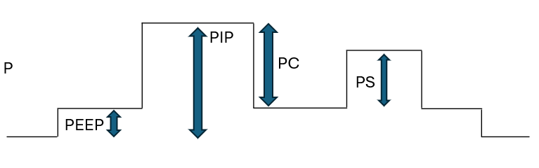 Pressure waveform image